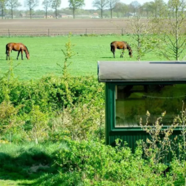 Naturistencamping Grensland