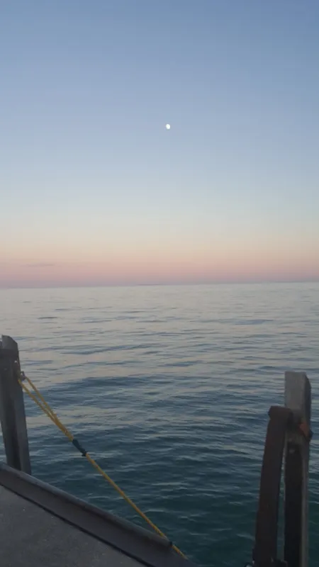 Brown's Landing RV Park