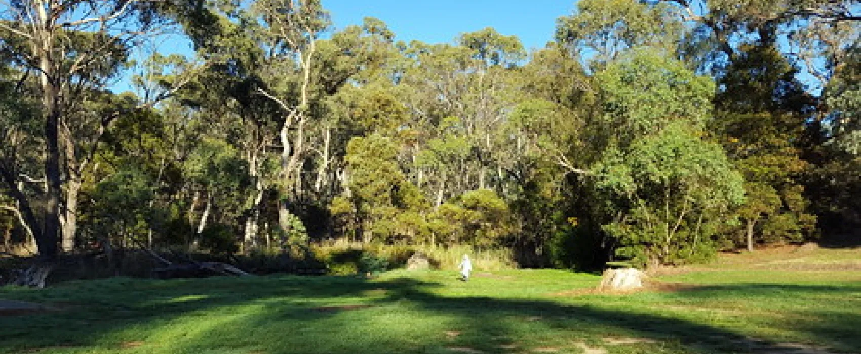 Paddys River Camp Campground