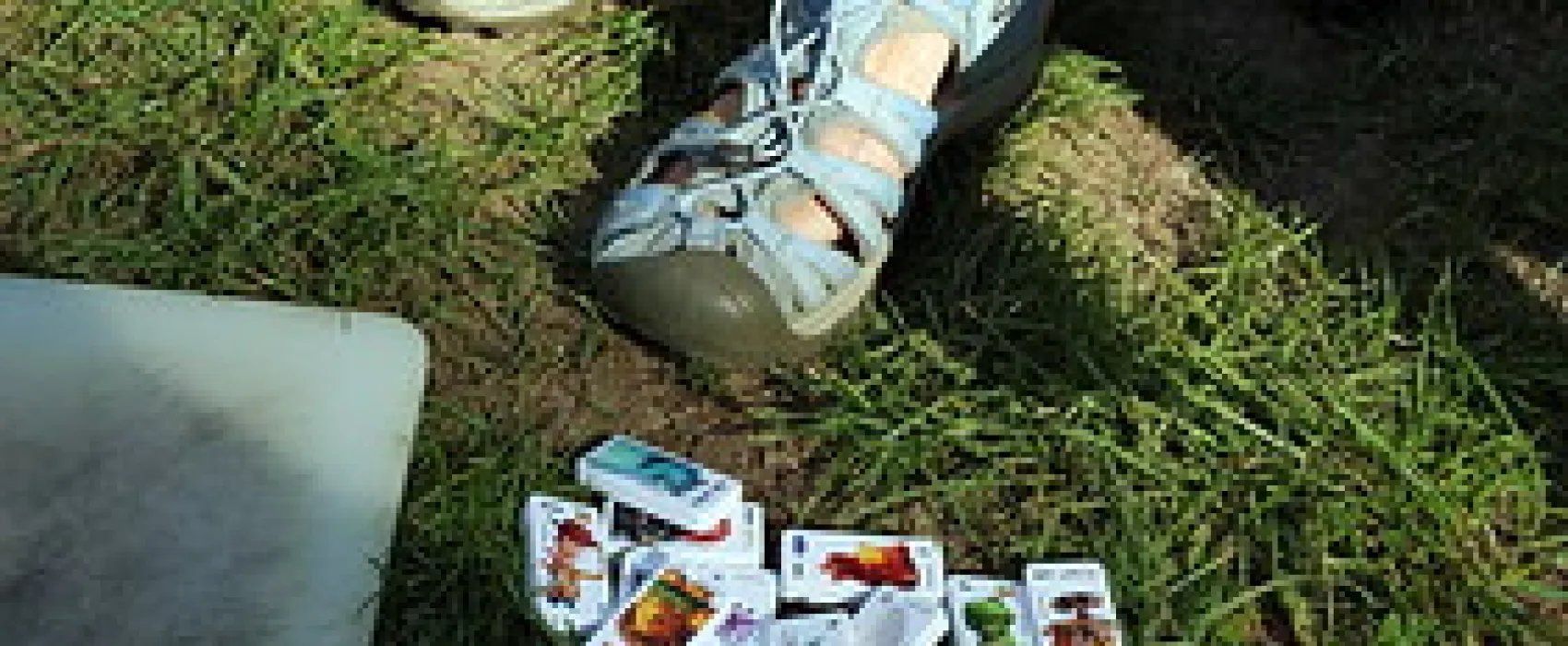 Paddys River Camp Campground