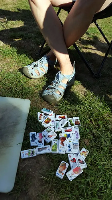 Paddys River Camp Campground