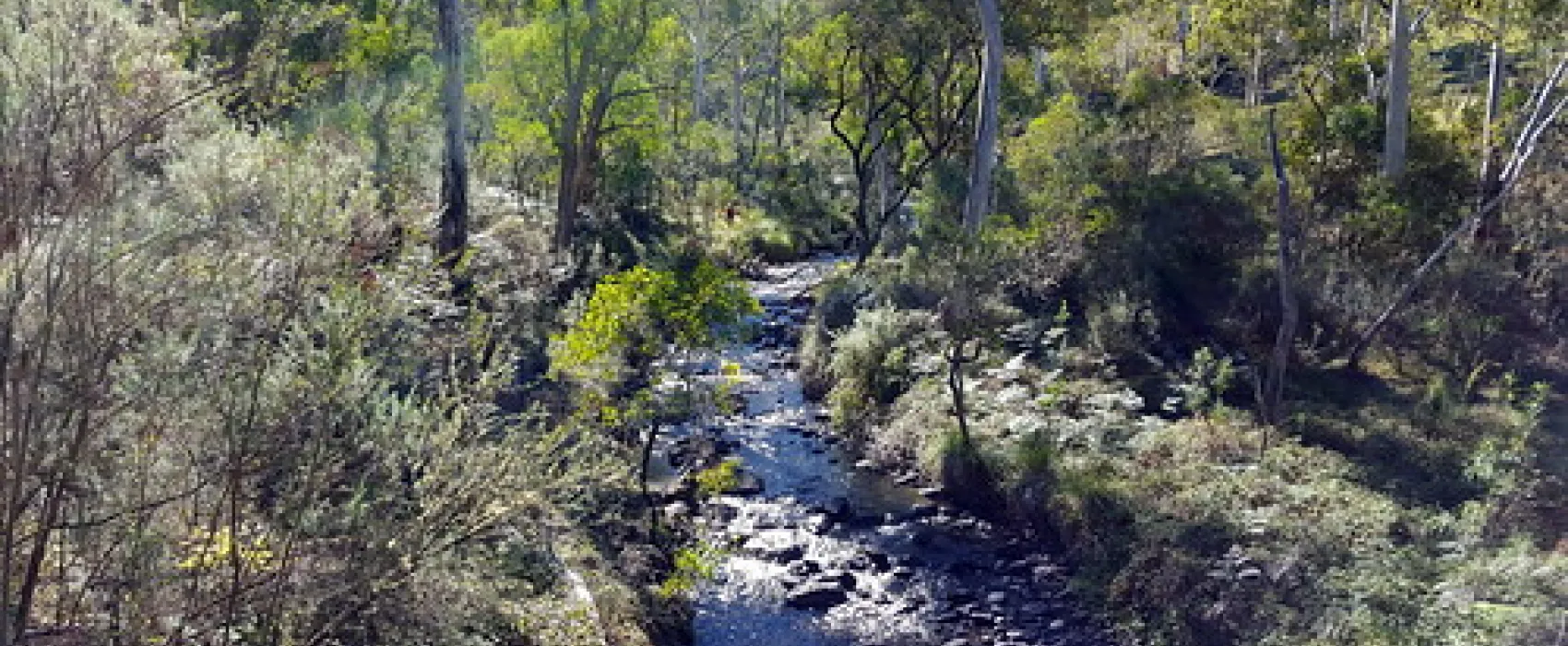 Paddys River Camp Campground