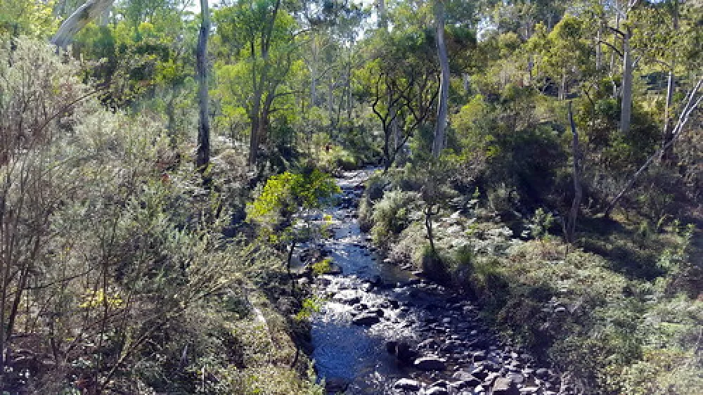 Paddys River Camp Campground