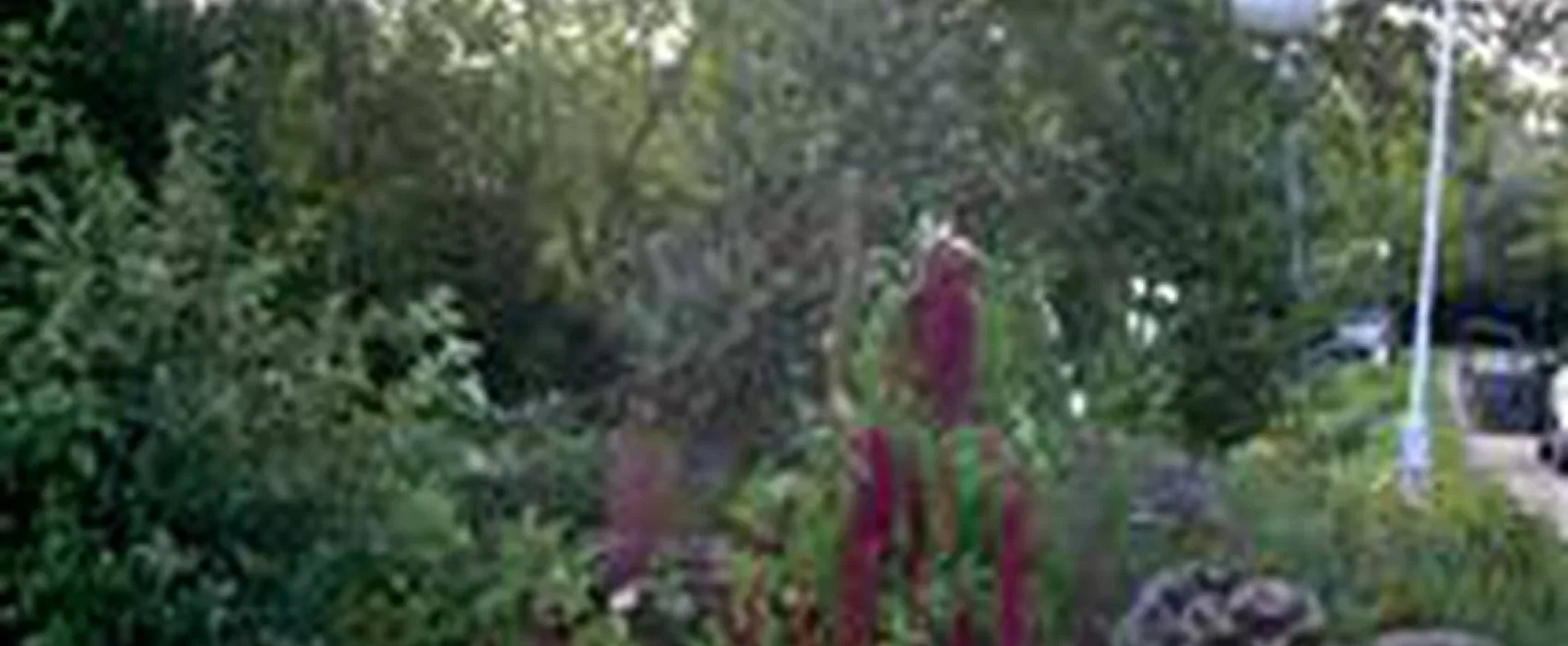 Camping Municipal Du Plan D'eau