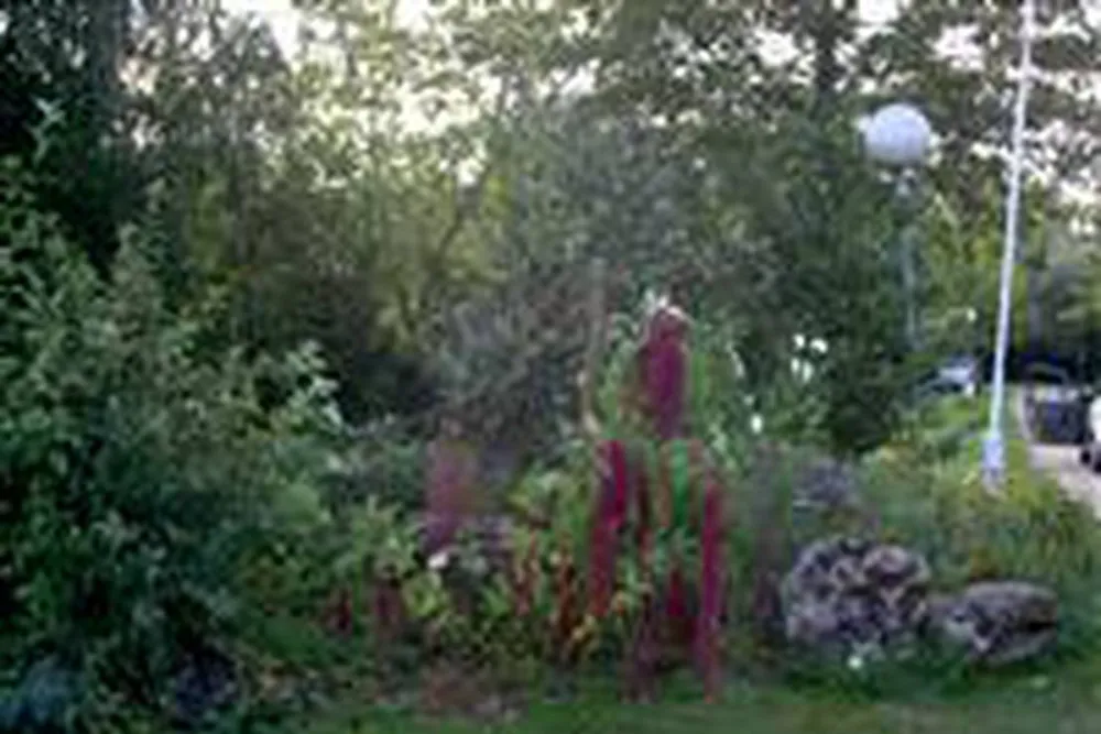 Camping Municipal Du Plan D'eau