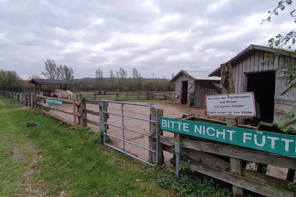 Rohloff Ferienpark GmbH