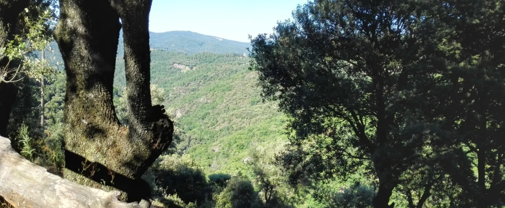 La Combe de Ferrière (Naturisten)