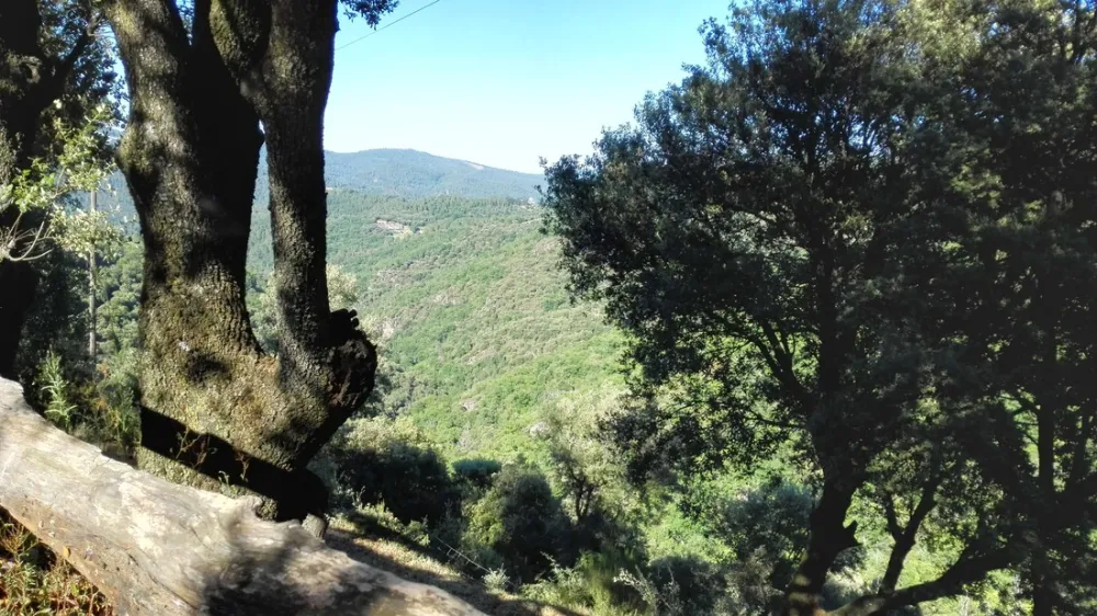 La Combe de Ferrière (Naturisten)