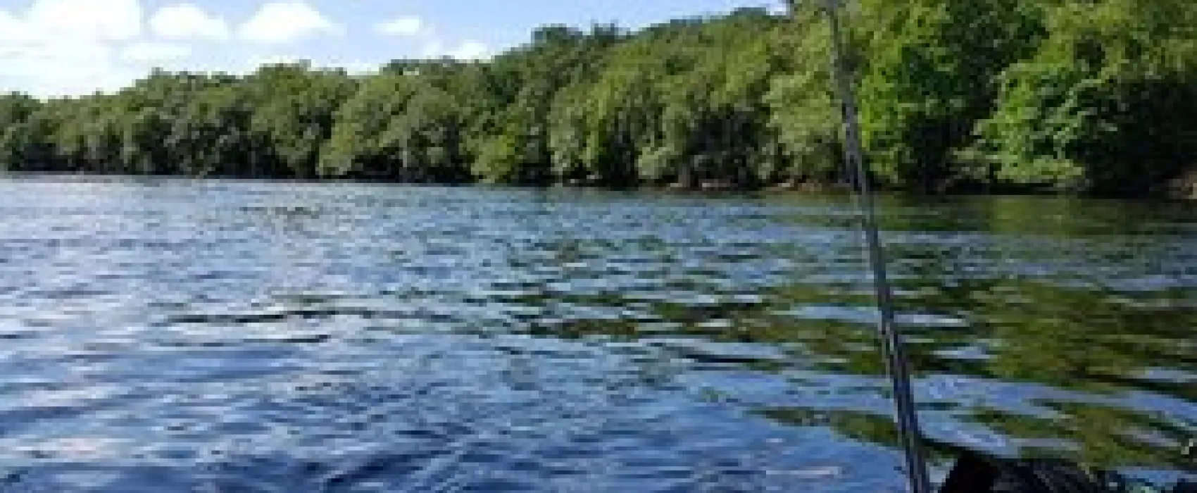 Suwannee River Rendezvous Resort & Campground