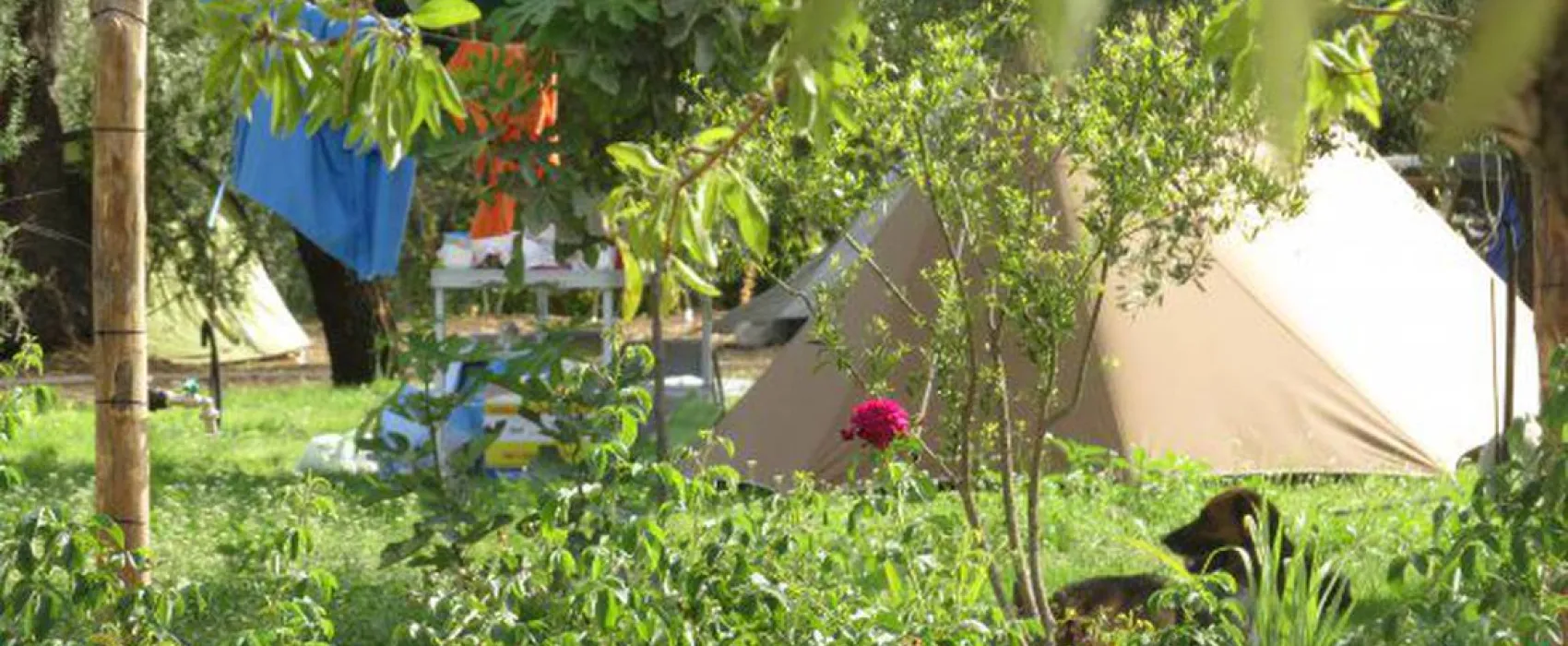 Agricamping Fiori di Noto