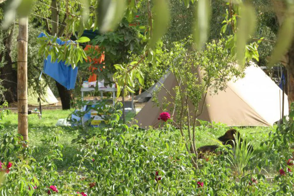 Agricamping Fiori di Noto