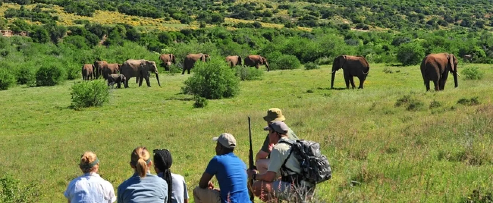 Shamwari Explorer Camp