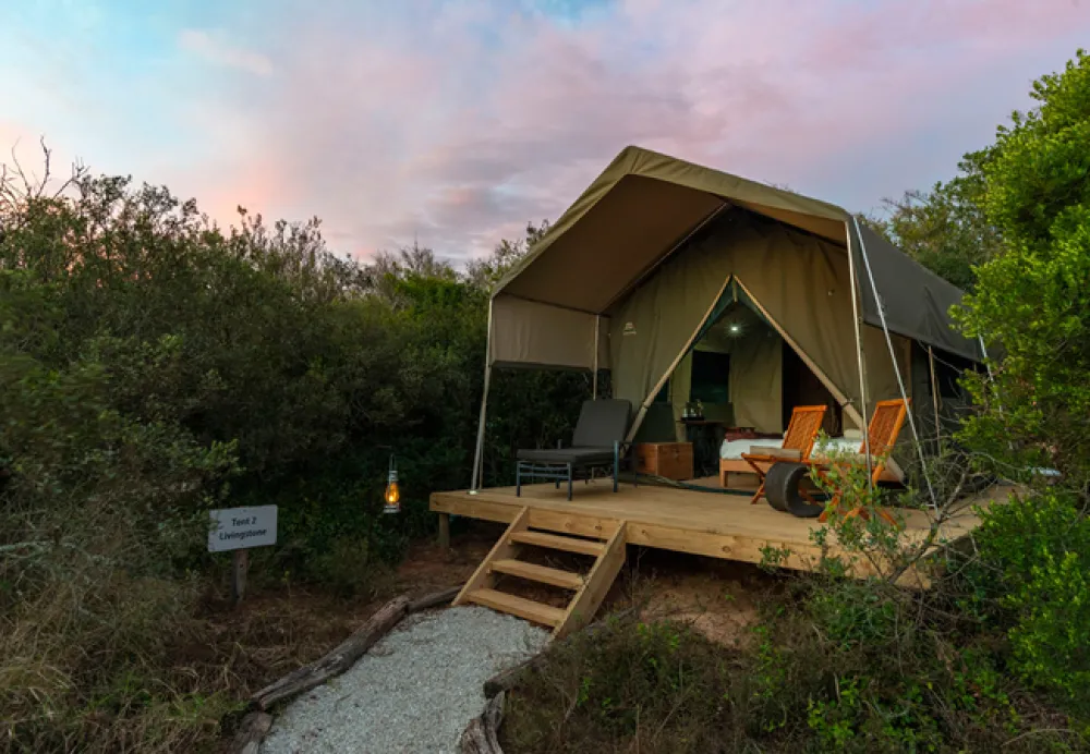 Shamwari Explorer Camp