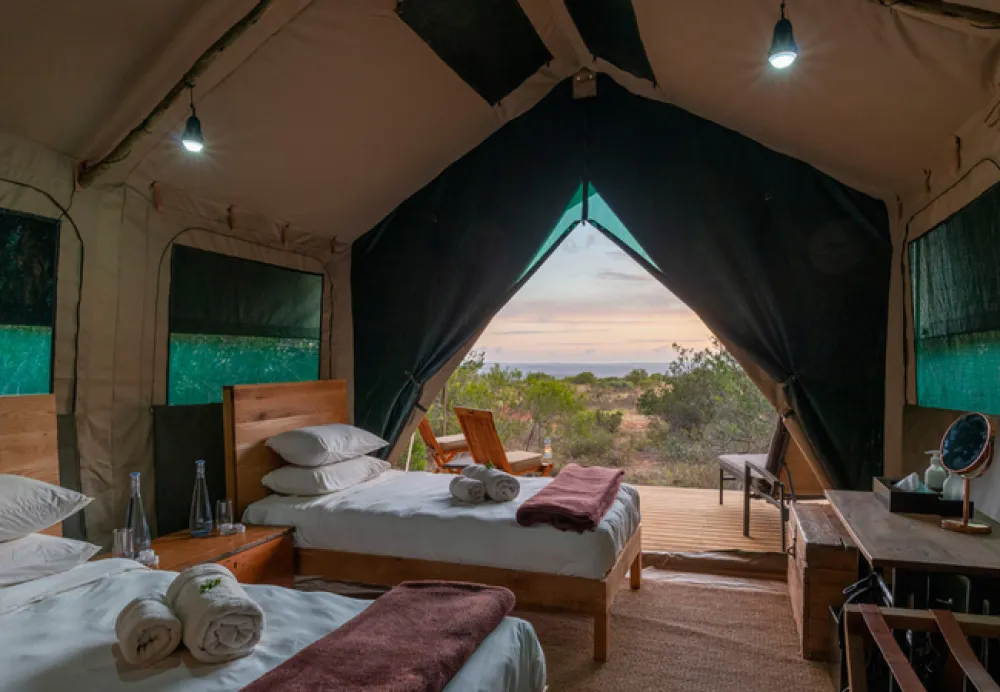 Shamwari Explorer Camp