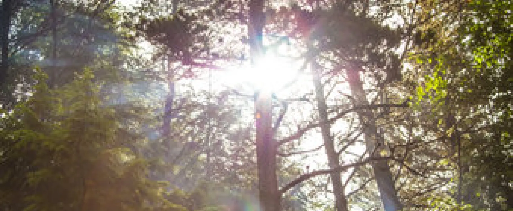 Whaler's Rest RV & Camping Resort