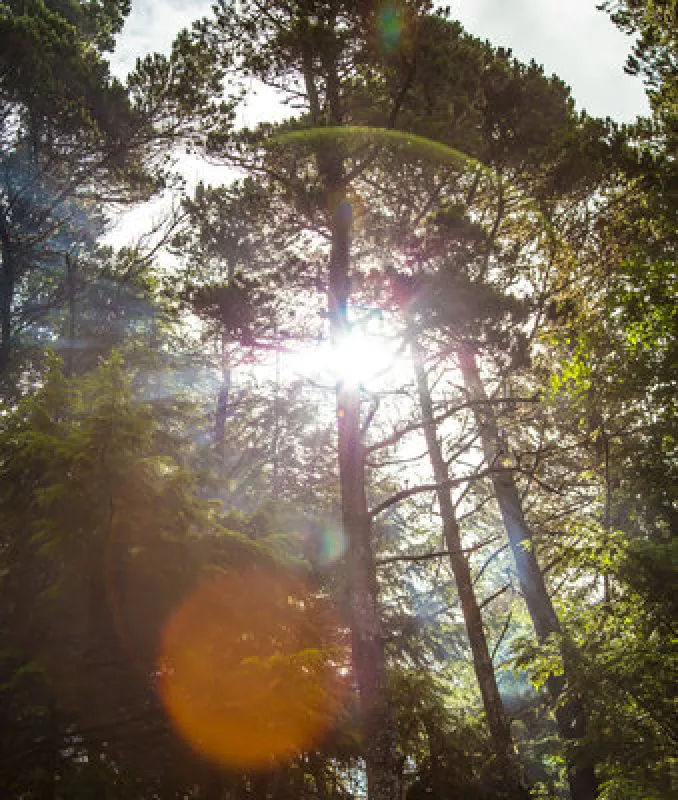 Whaler's Rest RV & Camping Resort