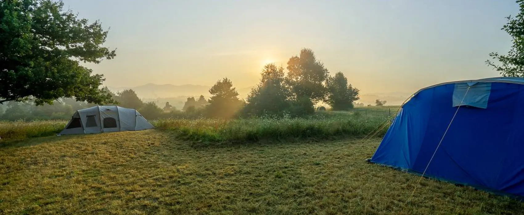 Camping Plana & Bar 66