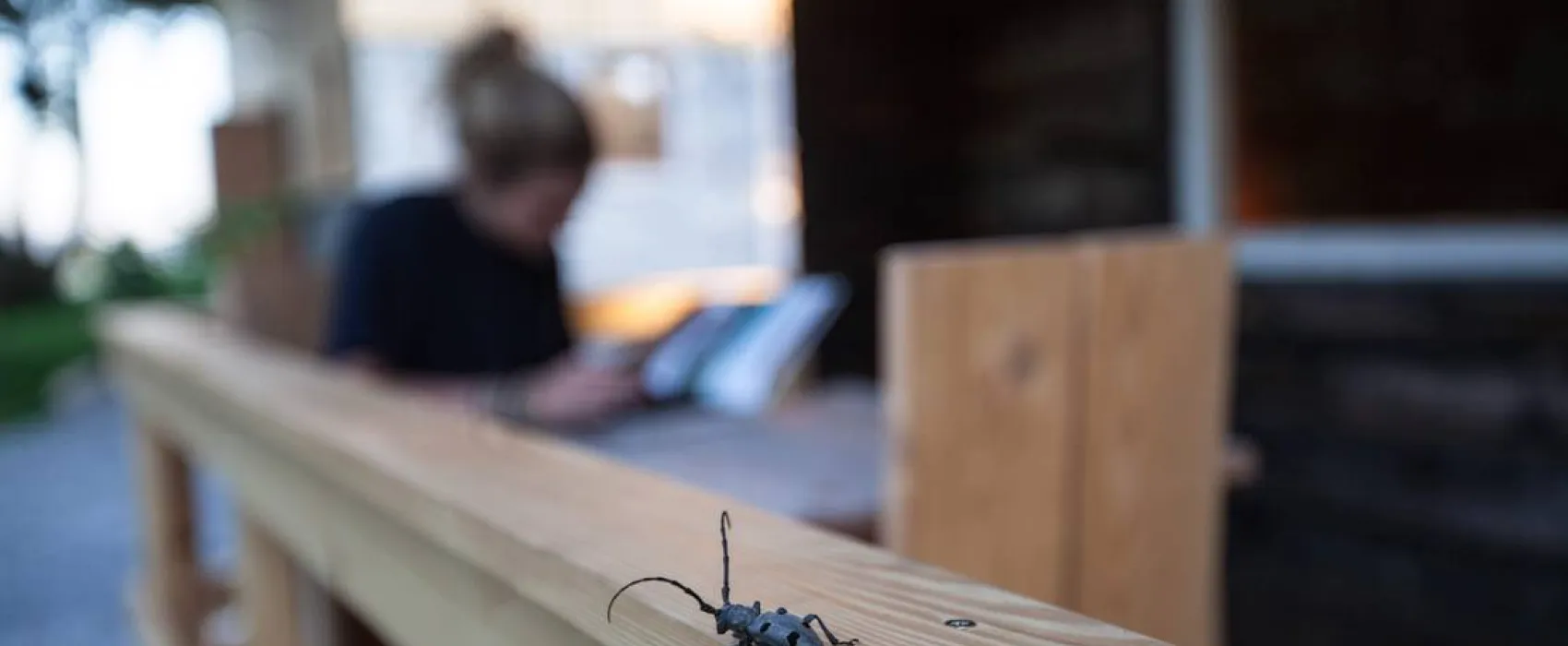 Camping Plana & Bar 66