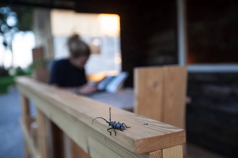 Camping Plana & Bar 66