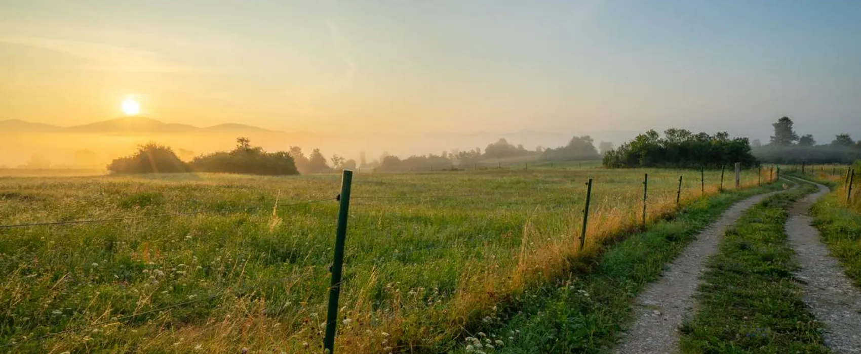 Camping Plana & Bar 66