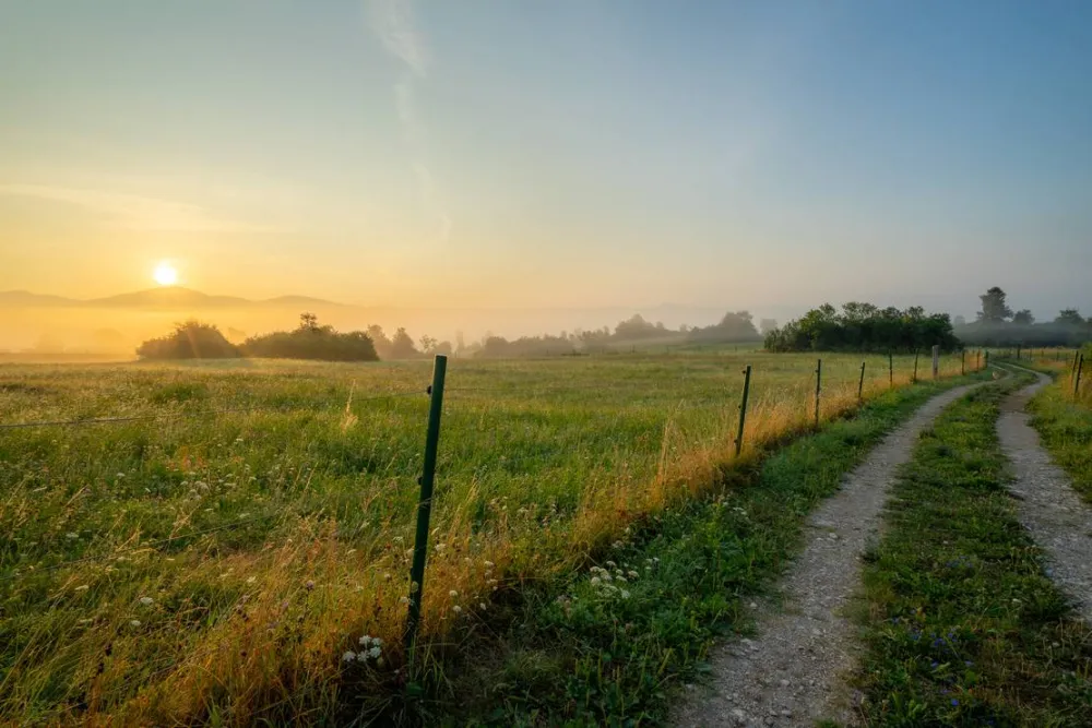 Camping Plana & Bar 66