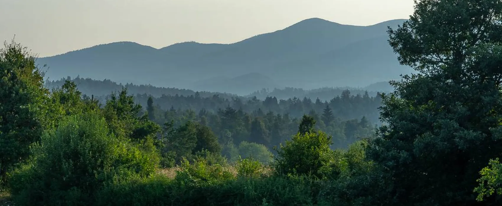 Camping Plana & Bar 66