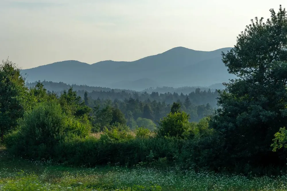 Camping Plana & Bar 66