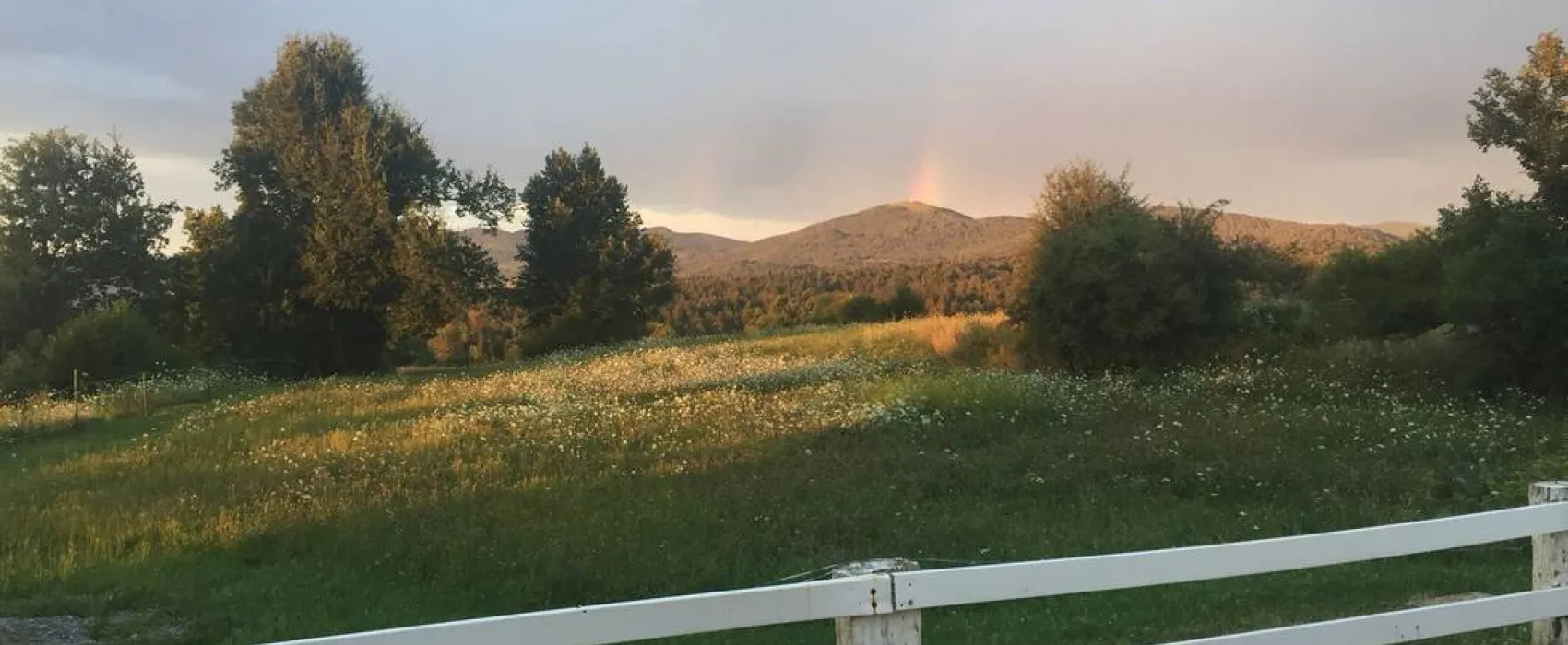 Camping Plana & Bar 66