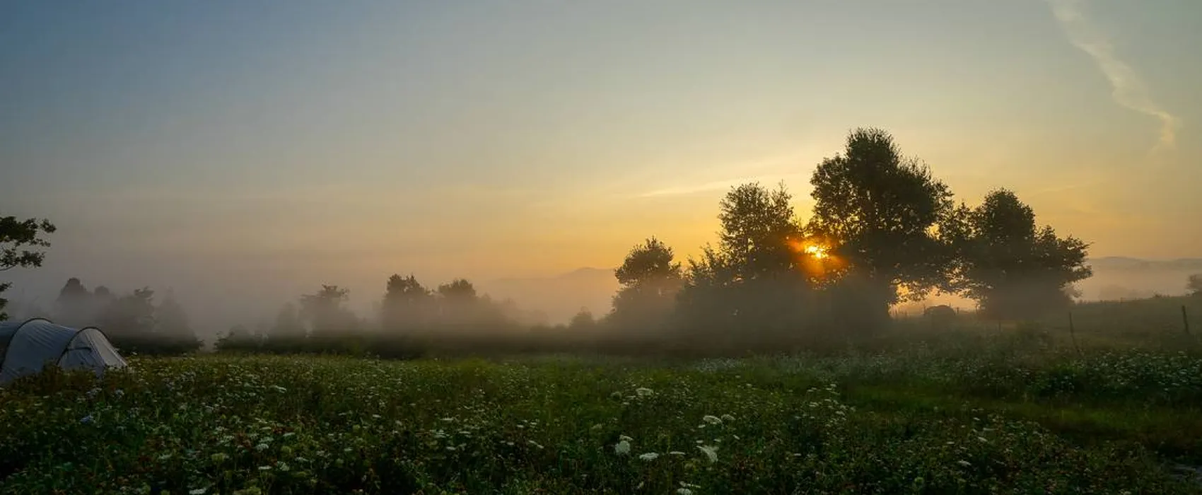 Camping Plana & Bar 66