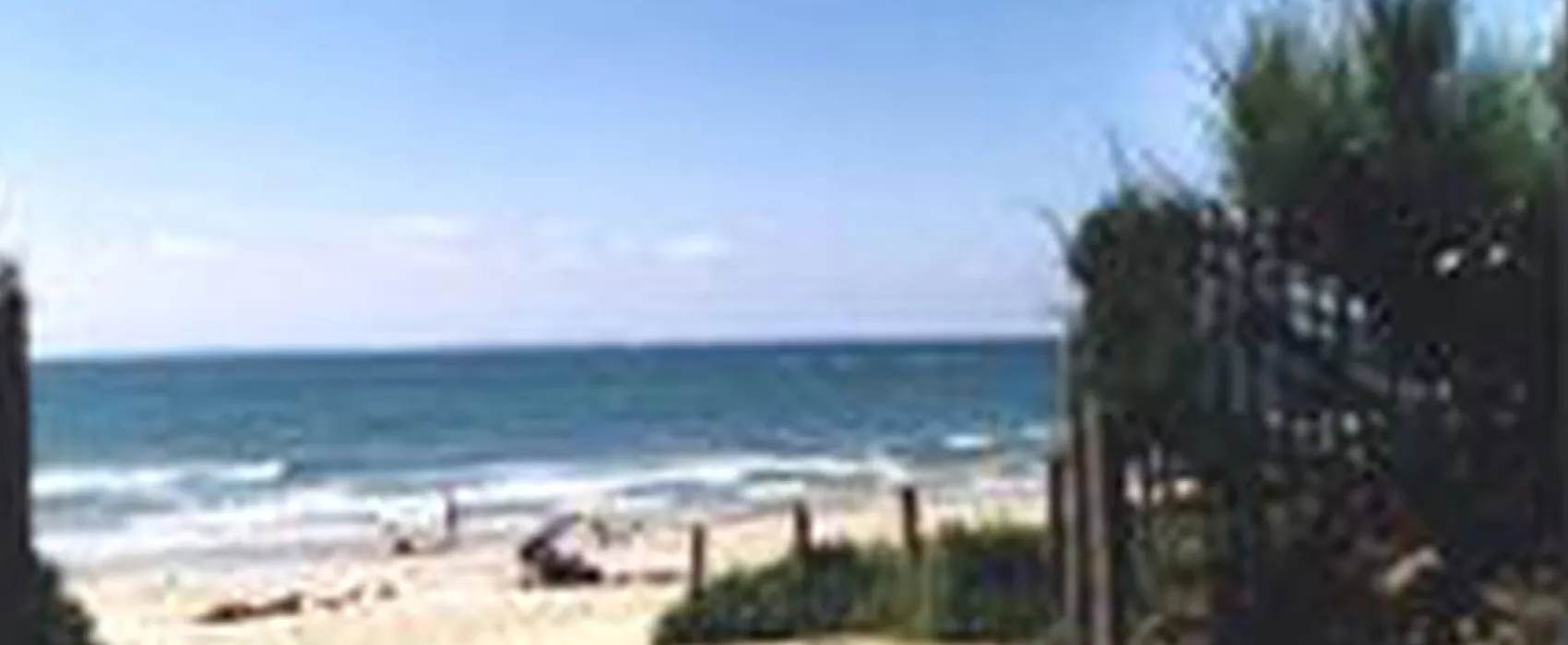 Scotts Farm Camping Site