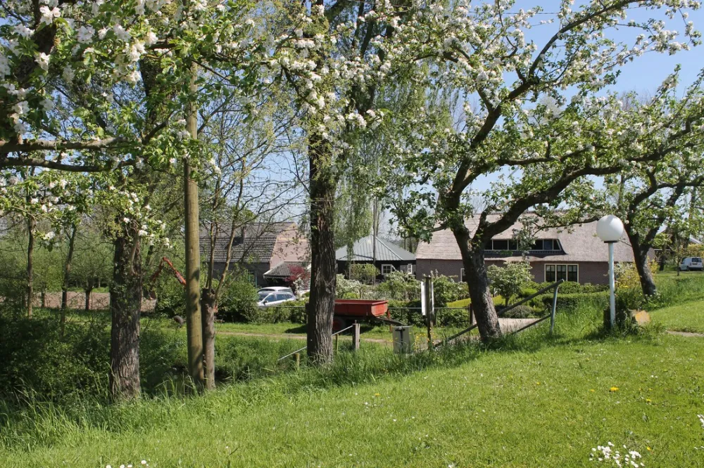 Campingboerderij De Mulderije