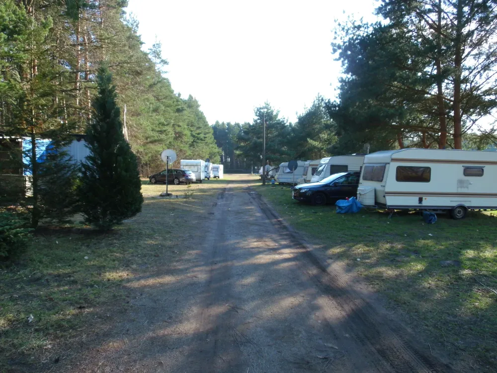 Waldcamping Lausitzer Seenland