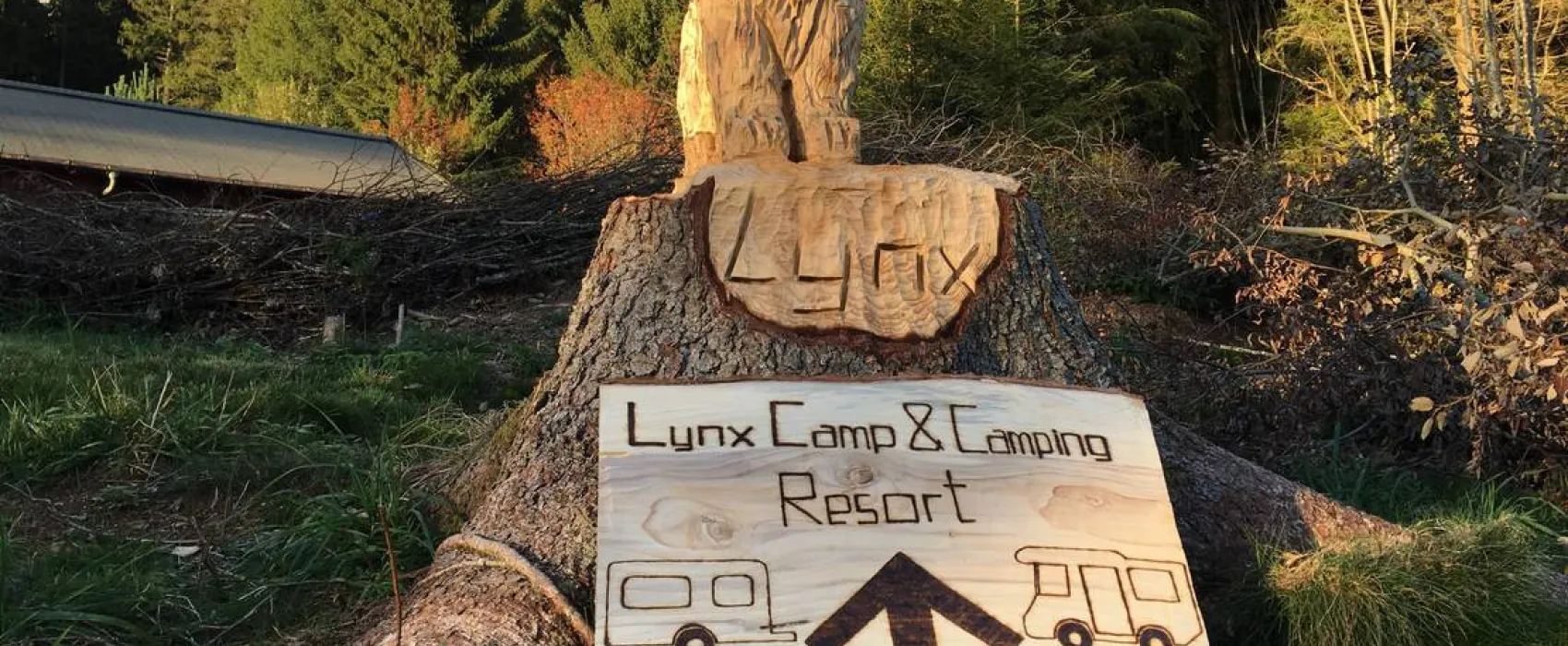 Lynx Camp