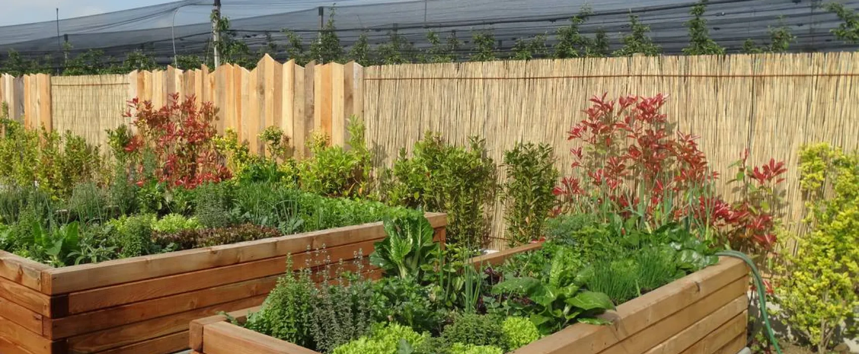 Agricamping Mabellini