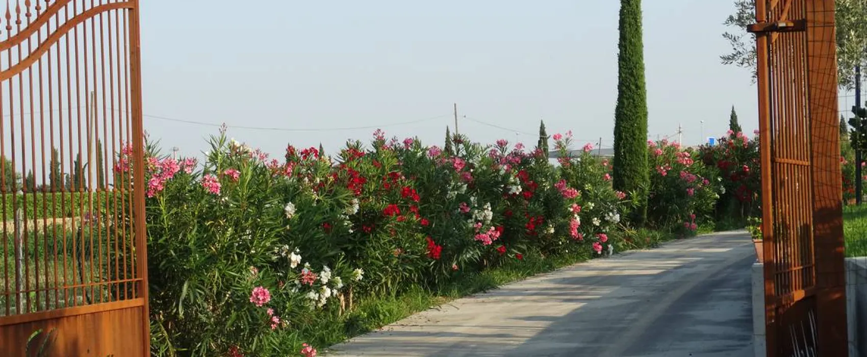 Agricamping Mabellini