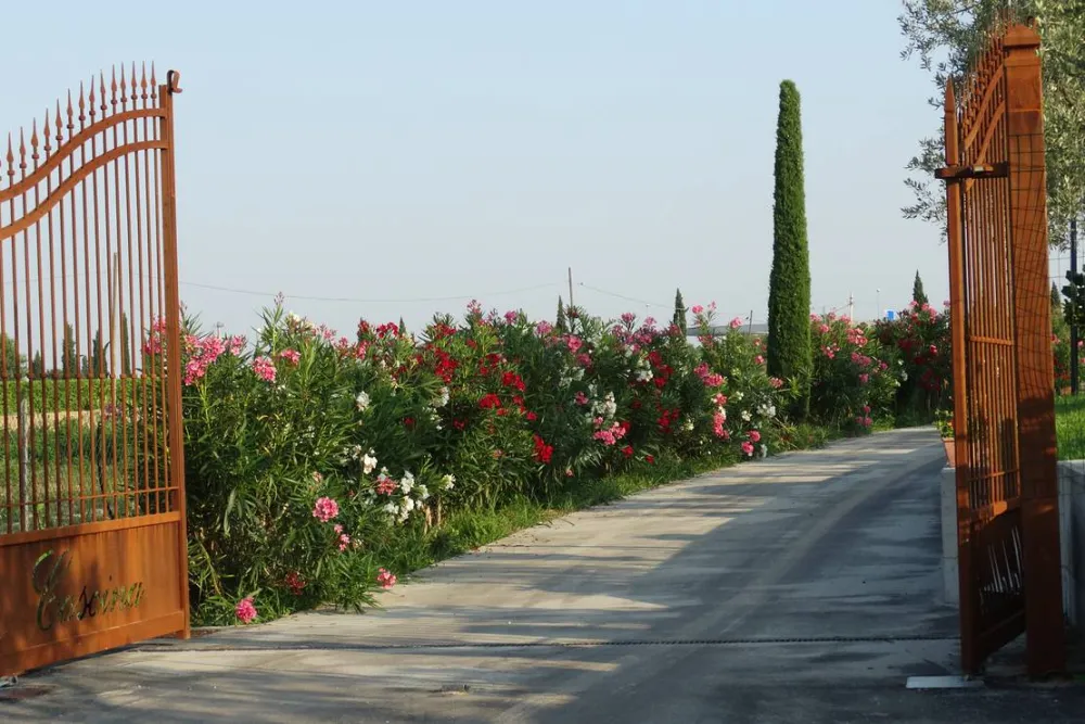 Agricamping Mabellini