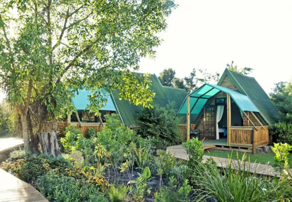 Tube n Axe Backpackers Lodge