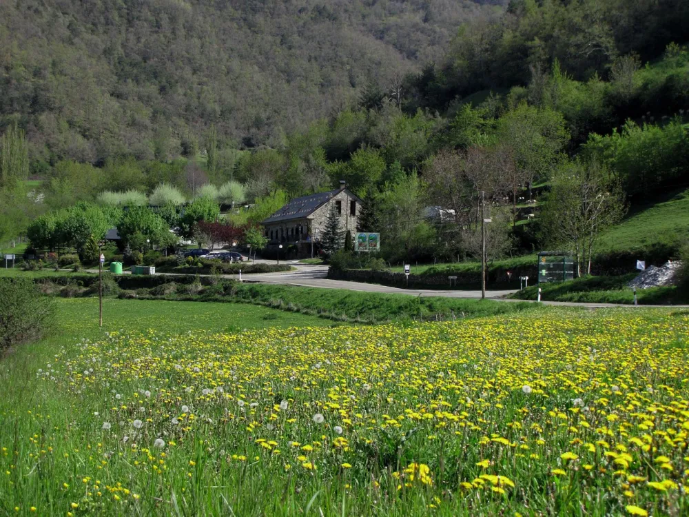 Camping, Bungalows y Hotel Viu