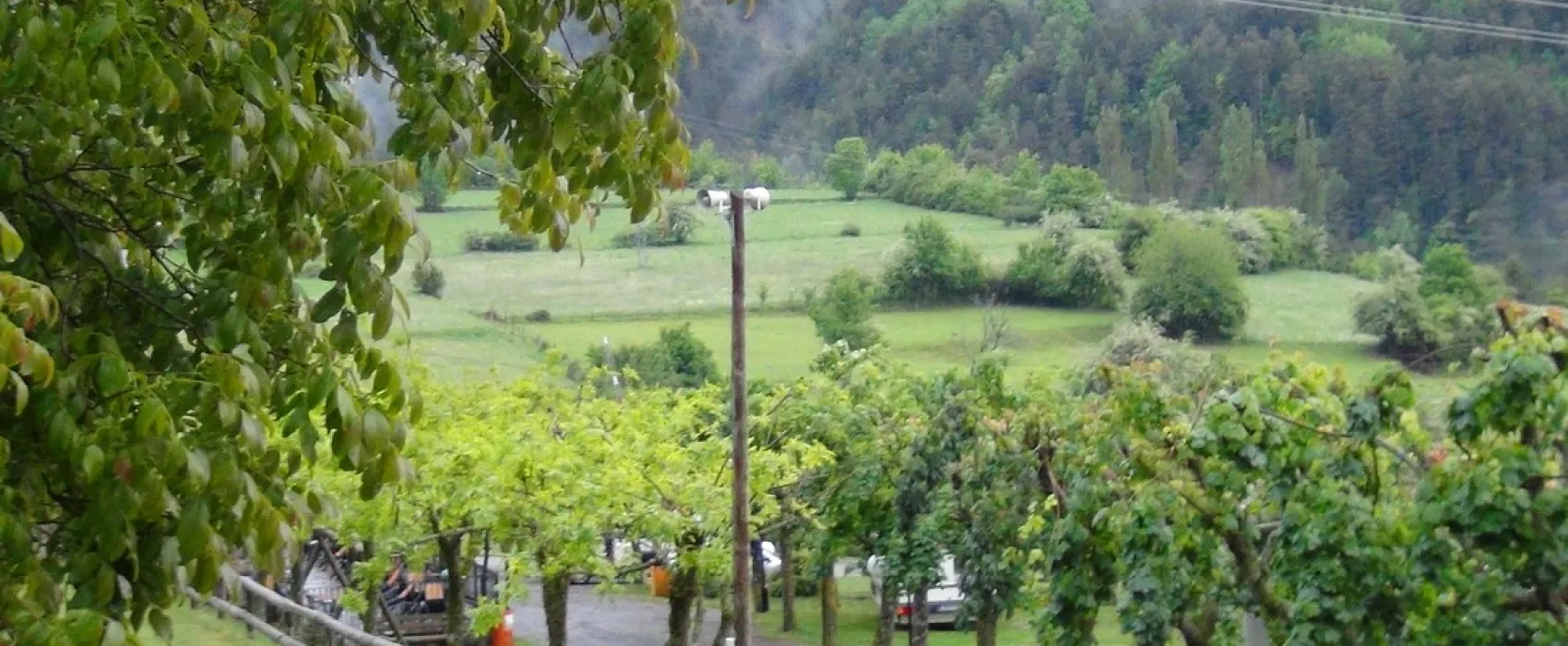 Camping, Bungalows y Hotel Viu