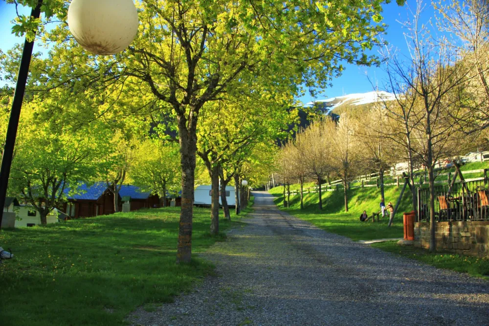 Camping, Bungalows y Hotel Viu