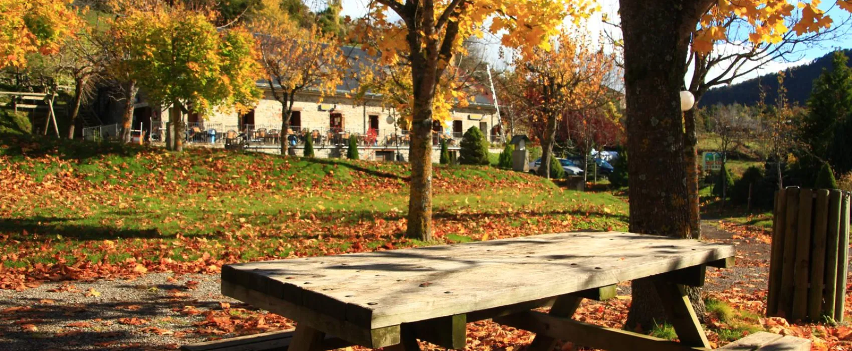 Camping, Bungalows y Hotel Viu