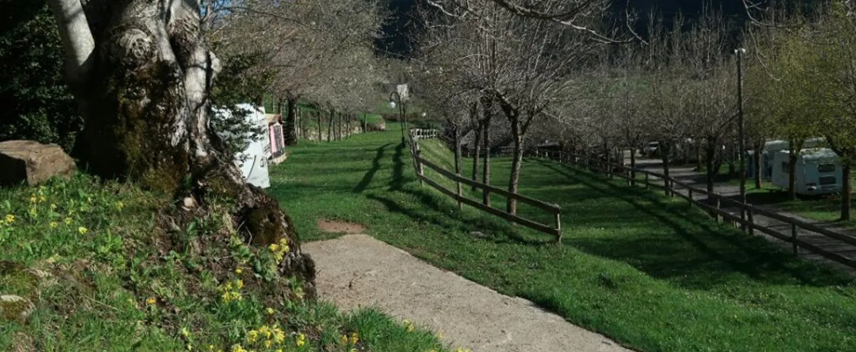 Camping, Bungalows y Hotel Viu