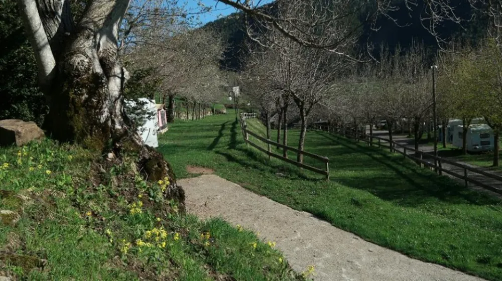 Camping, Bungalows y Hotel Viu