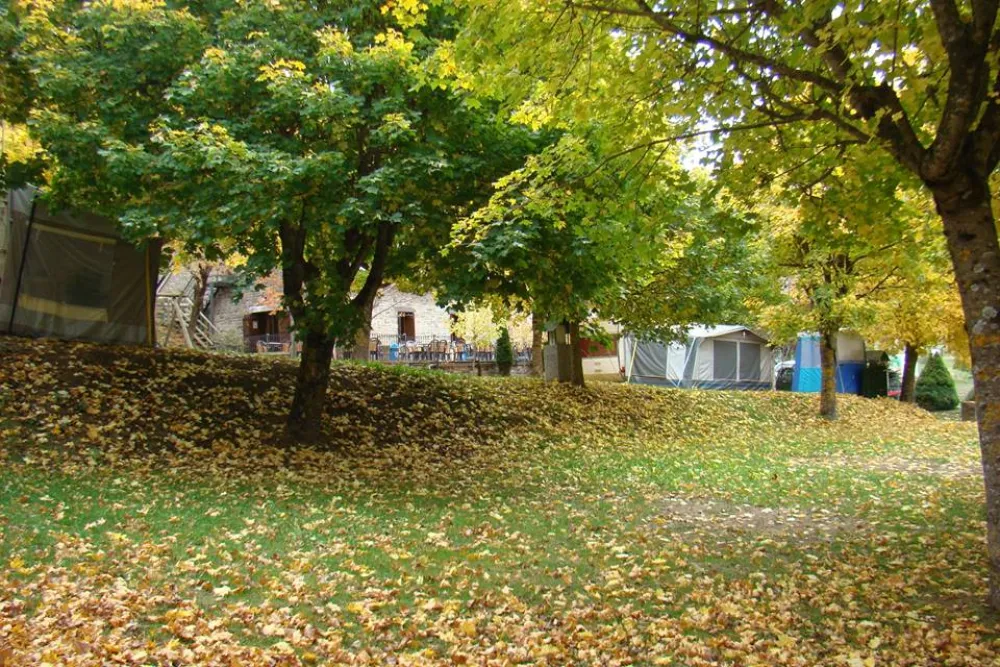 Camping, Bungalows y Hotel Viu