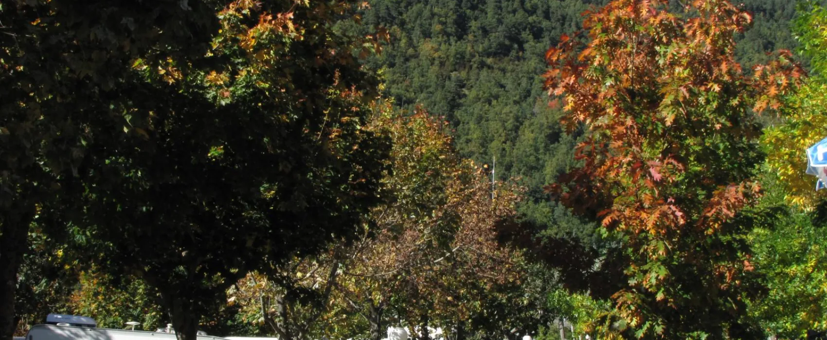 Camping, Bungalows y Hotel Viu