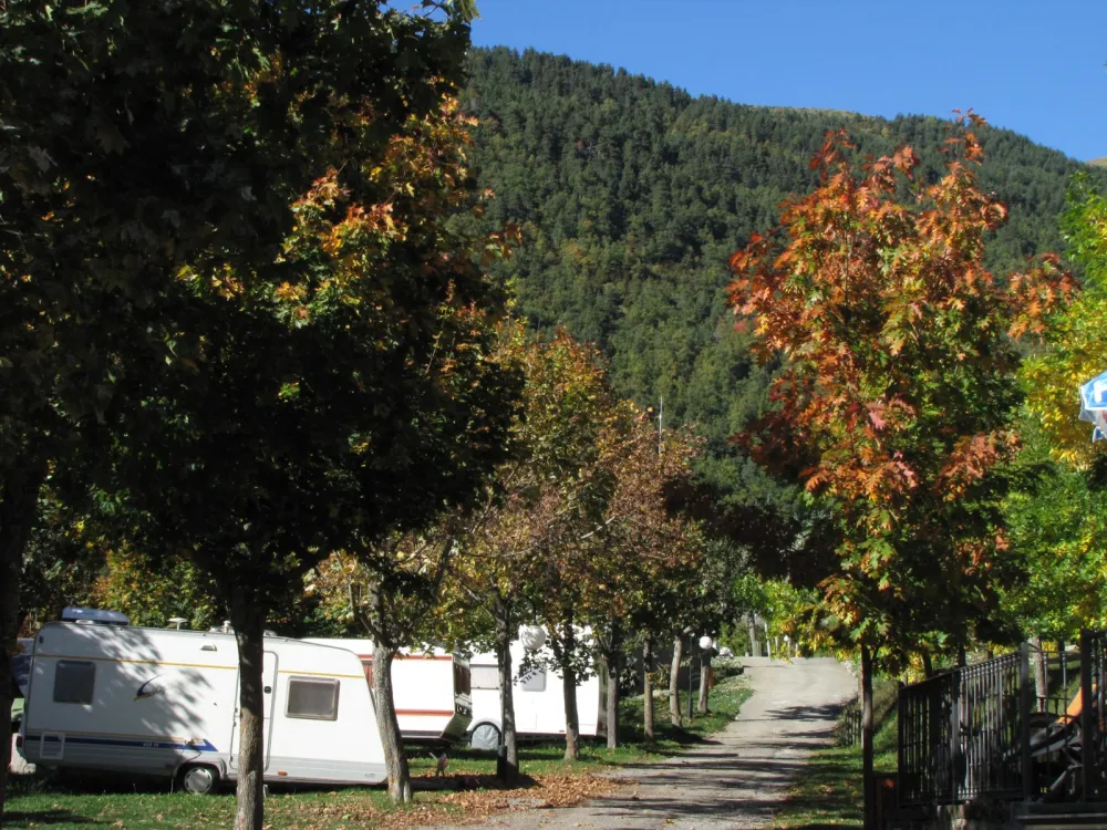 Camping, Bungalows y Hotel Viu