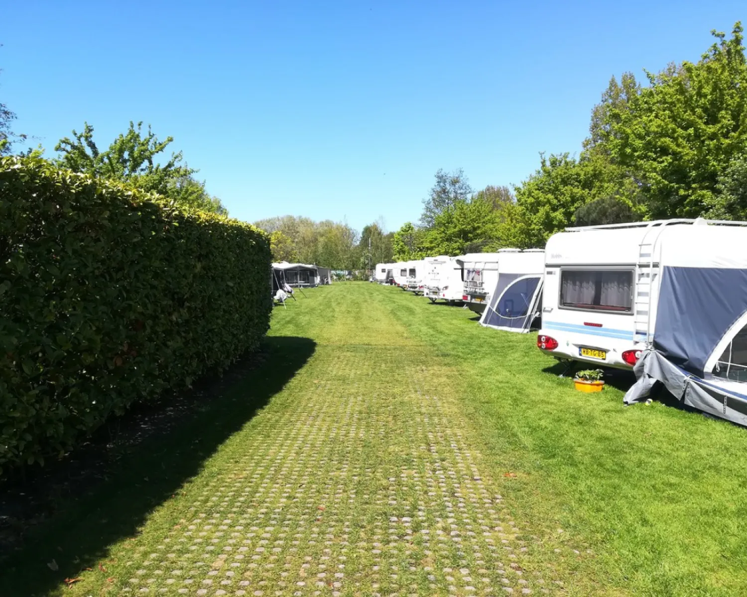 Noorthey in Niederlande - Spottocamp - Spottocamp