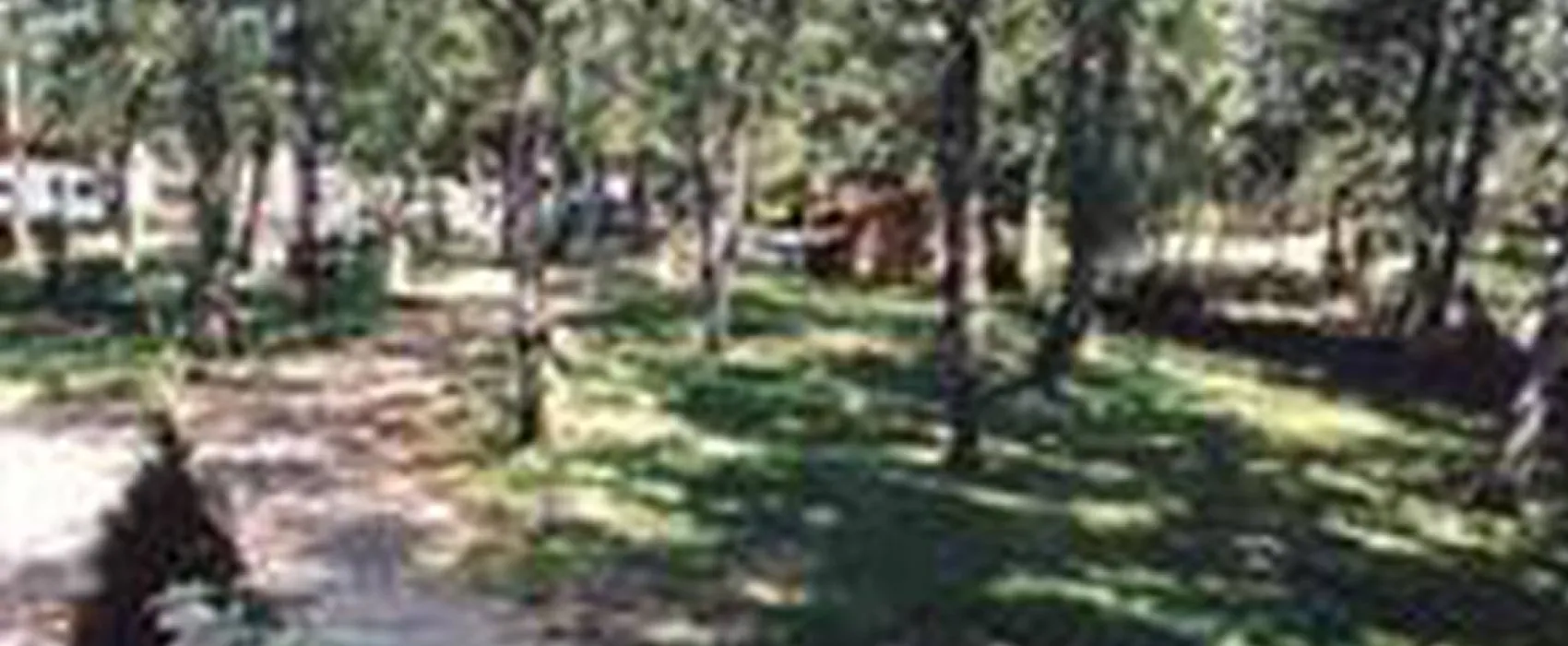 Camping Vega de Francia