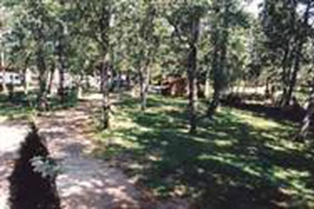 Camping Vega de Francia