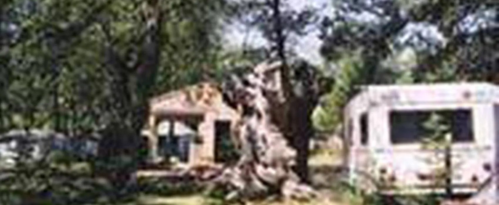 Camping Vega de Francia